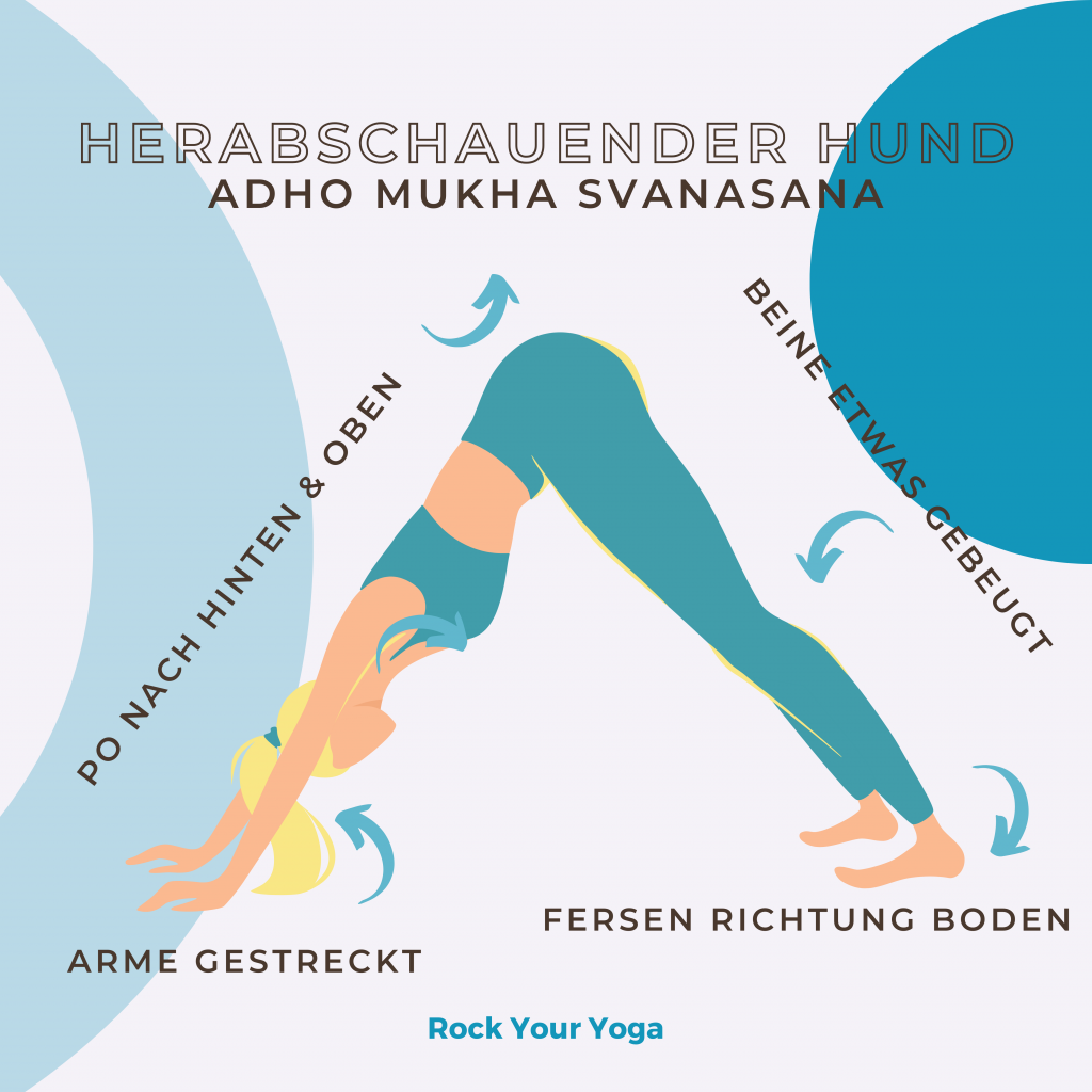 Lernkarte Adho Mukha Svanasana 2 - Rock Your Yoga