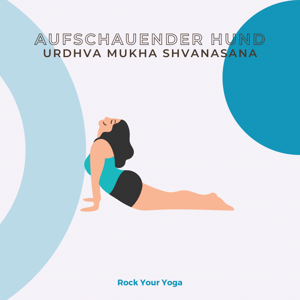 Lernkarte Urdhva Mukha Shvanasana 1 - Rock Your Yoga