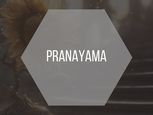 Rock Your Yoga - Blog - Link zu Pranayama